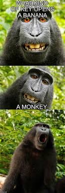 monkey makeup meme saubhaya makeup