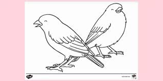 Print and colour this simple cockatoo colouring page, with bold outlines for younger children. Free Bird Colouring Sheet Colouring Sheets