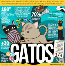 It was created in 2002 by the international fund for animal welfare. Dia Internacional Del Gato Lo Que Debes Saber Para Celebrarlo Publimetro Peru Animal Lover Cat S Pets