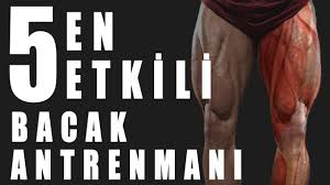 en etkili 5 bacak antrenmani bacaklar bacak egzersizleri vucut gelistirme