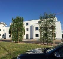 Wir bringen mieter & vermieter in unserem großen immobilienmarkt zusammen. 3 Zimmer Wohnung Zu Vermieten Schulstr 1 B 52382 Niederzier Duren Kreis Mapio Net