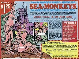 Sea-Monkeys and X-Ray Spex: Collecting the Bizarre Stuff Sold in the Back  of Comic Books | Collectors Weekly
