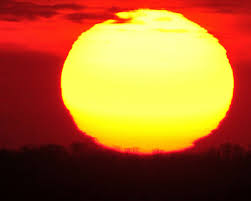 It contains more than 99.8% of the total mass of the it is often said that the sun is an ordinary star. Woman Buys The Sun Plans To Charge Tax On Rays The Star