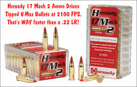 Winchester offers two deer, antelope, and black bear. Bullets Brass Ammo Daily Bulletin