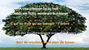 What is the message they preach? Fruit Trees A Tree And Its Fruit Meaning