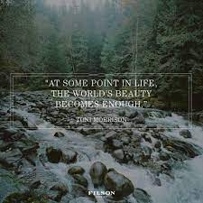 Power Of Gratitude Nature Quotes Adventure Adventure Quotes Nature Quotes