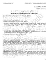 PDF) Anatomía foliar de Malpighia mexicana (Malpighiaceae)