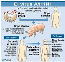 La gripe aviar mas conocida como la gripe de influenza o gripe del pollo, es una enfermedad que esta causando preocupación en el mundo entero y esta por convertirse en una de las peores pestes del siglo 21, poniendo en riesgo la vida y salud mundial de las personas ocasionando perdidas. Hospitalizacion De Pacientes Con Gripe A