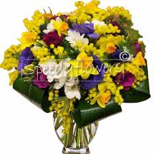 Immagini buongiorno da 21 a 30 save ogni giorno semina sorrisi, pianta gentilezza, innaffia con il buonumore e la tua vita si riempirà di fiori e amore. Foto Mimosa Fiore Da Scaricare Fzkbg Dodpop Info