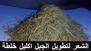 بينى فتس موقع فوائد الغذاء للصحة خلطة اكليل الجبل لتطويل الشعر تجربتي مع زيت اكليل Herbs Hair Places To Visit