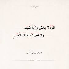شعر زهير بن أبي سلمى الود لا يخفى وإن أخفيته عالم الأدب Like Quotes Quotes For Book Lovers Words Quotes