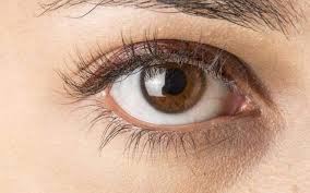 Goz Renklerimiz Neden Farkli Bilgeyik
