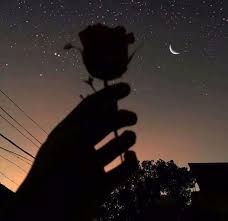 Pinterest Viviimoreira Fond D Ecran Telephone Fond Ecran Iphone 6 Idees De Photo Instagram