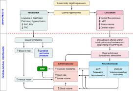 Cardiac output is a determination of stroke volume (amount heart pumps with each beat) x heart rate. Lower Body Negative Pressure Physiological Effects Applications And Implementation Physiological Reviews