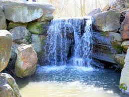 Tucked away in the ravine, the stream valley section of the north woods that spans 40 acres at the top of the park, there are at least five different waterfalls. Central Park Newyorkcity De