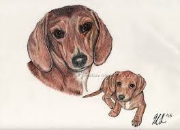 Karakalem Hayvan Ile Ilgili Gorsel Sonucu Kucuk Kalpler Pet Portraits Drawings Ve Portrait