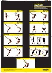 Ab Workouts Trx Workouts Ab