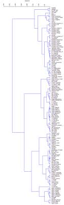 genetic distance between europeans autosomal dna map