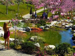 Japanese Friendship Garden Gardens Find A Beautiful Serene And Well Tended Garden That Shows Peace Between America And Japan Park Trails Balboa Park Park