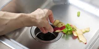 What S Wrong With My Garbage Disposal Ben Franklin Plumbing