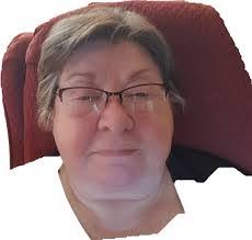 Gillian Vogel's Instagram, Twitter & Facebook