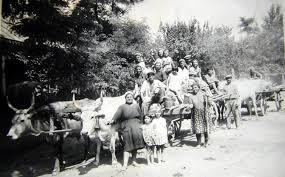 Numele de familie sunt reprezentative pentru fiecare cultura in parte iar formarea lor si transmiterea a avut loc pentru prima oara in jurul secolului xi, in europa. Din Ce ZonÄƒ A Romaniei Provine Numele TÄƒu De Familie