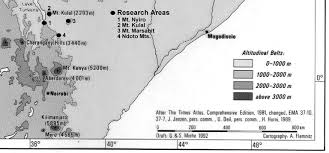 Image result for Secamone punctulata