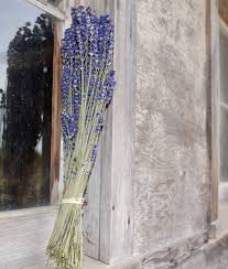 24/7 customer service · 2018 stevie silver winner Dried Lavender Bunch B B Family Lavender Farm