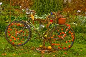 Daher möchte ich mir dieses jahr besonders viel mühe mit der herbstdeko im haus und an. Das Deko Fahrrad Am Krautergarten Ist Herbstlich Dekoriert Foto Bild Pflanzen Pilze Flechten Bluten Kleinpflanzen Natur Bilder Auf Fotocommunity