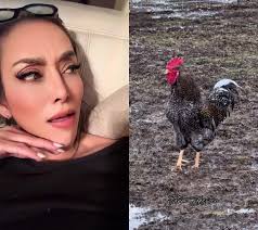 Michael Salerno Sebastian