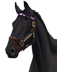 Jullelin Professional General Artist Deviantart Horse Art Ideas Star Stable Horses Horse Sketch