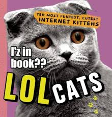 Image result for lolcats