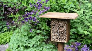 It is named the beehive as it resembles one. How To Nurture The Bees In Your Yard While Keeping Your Family Safe
