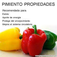 Plantas Medicinales Pimiento Stuffed Peppers Food Vegetables
