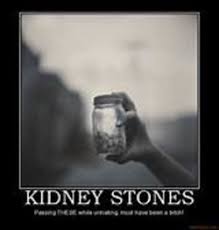 Kidney stone cartoons and comics funny pictures from. Kidney Stone Humor Images Posts About Urology On Kidney Stones Funny Kidney Stone Meme Cat Kidney There Are 213 Kidney Stone Humor For Sale On Etsy And They Cost 17 02 On Average Coretanku