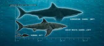 Anger Builds Over Shark Week S Fake Submarine Documentary Readers Sound Off Megalodon Shark Facts Shark Megalodon