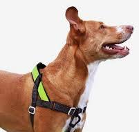 SofterWalk No-Pull Dog Harness in Reflective Nox