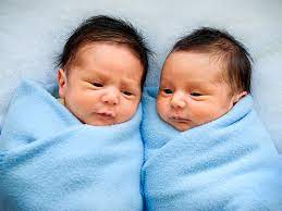 Mesti sazzy falak sekarang tak sabar mengira hari menunggu detik kelahiran bayi kembarnya. 7 Petua Dapat Anak Kembar Walaupun Tiada Genetik Kembar Zuriat