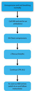 The development of an algorithm to guide recognition, management and decisions to terminate resuscitation. An Update On Current Resuscitation Council Uk Guidelines Dental Update
