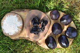 Image result for Entada stuhlmannii