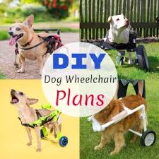 Doggie wheelchairs cost around $200. Free Diy Dog Wheelchair Plans Diy Crafts