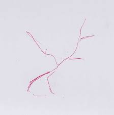 Start by making some lines. Drawing Step By Step Simple Willow Tree Drawing