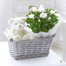 We did not find results for: Baby Boy Gift Basket Funeral Flower Company