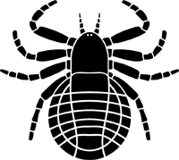 Image result for pokoutnik st job 