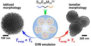 In a small cement module with little more than a computer. Frustrated Microparticle Morphologies Of A Semicrystalline Triblock Terpolymer In 3d Soft Confinement