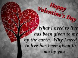 It's the time to express your feelings with the perfect choice of words. 40 Best Valentine Day Messages Happy Valentine Day Quotes Valentines Day Wishes Happy Birthday Love Quotes