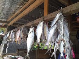 For more information and source, see on this link : Ikan Mayong Nama Lain