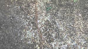 If you bought bulk gravel, you won't believe how dirty it is! Aggregate Driveway Crack Repair Youtube