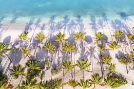 Where to Find Wellness Experiences in Antigua