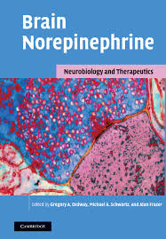 Pathway from a brainstem nucleus in memory. Norepinephrine In Neurological Disorders Chapter 15 Brain Norepinephrine
